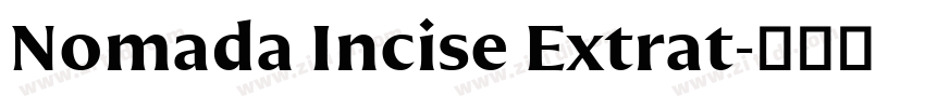 Nomada Incise Extrat字体转换 Nomada Incise Extrat字体转换